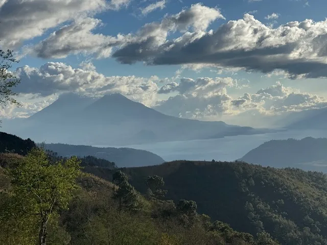 The view 